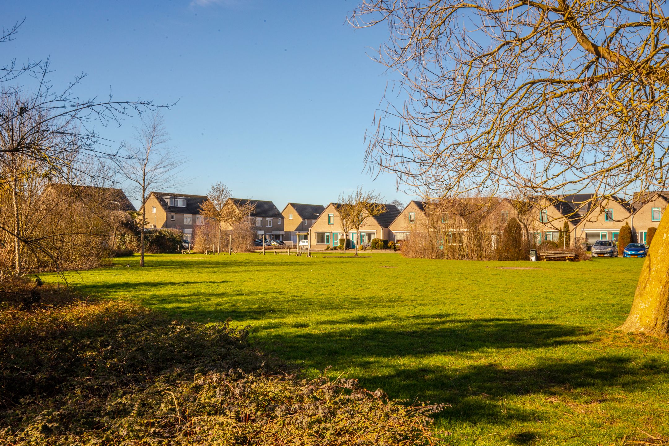 Photo 36 of Korenbloem 65