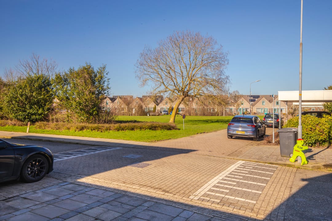 Photo 38 of Korenbloem 65