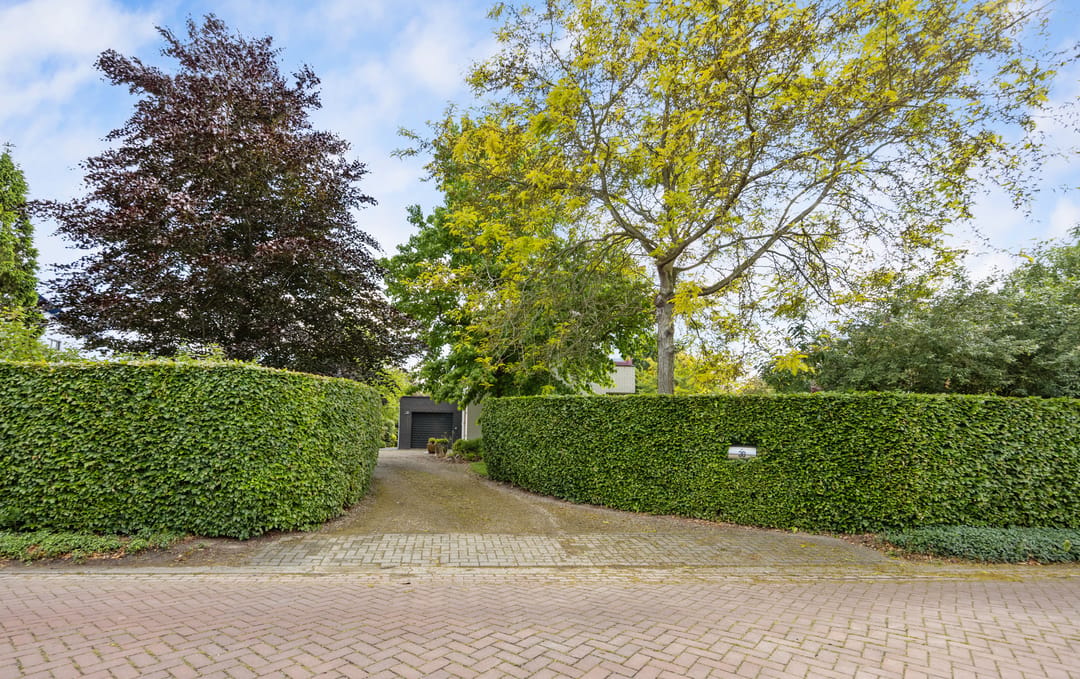 Photo 31 of Ludenbos 30