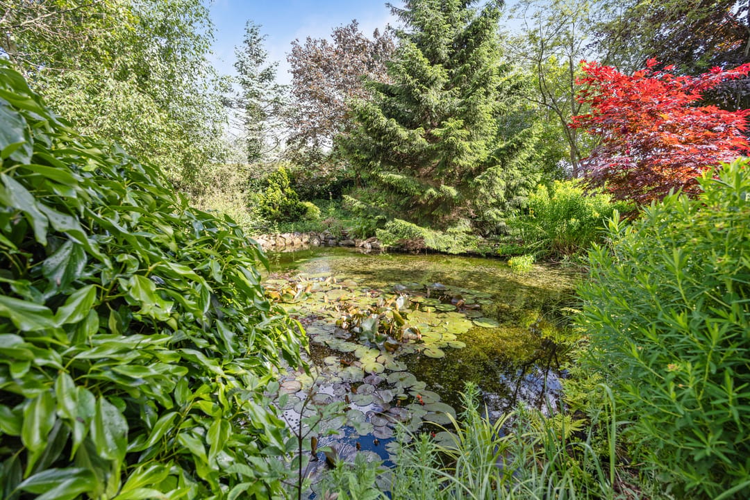 Photo 38 of Ludenbos 30