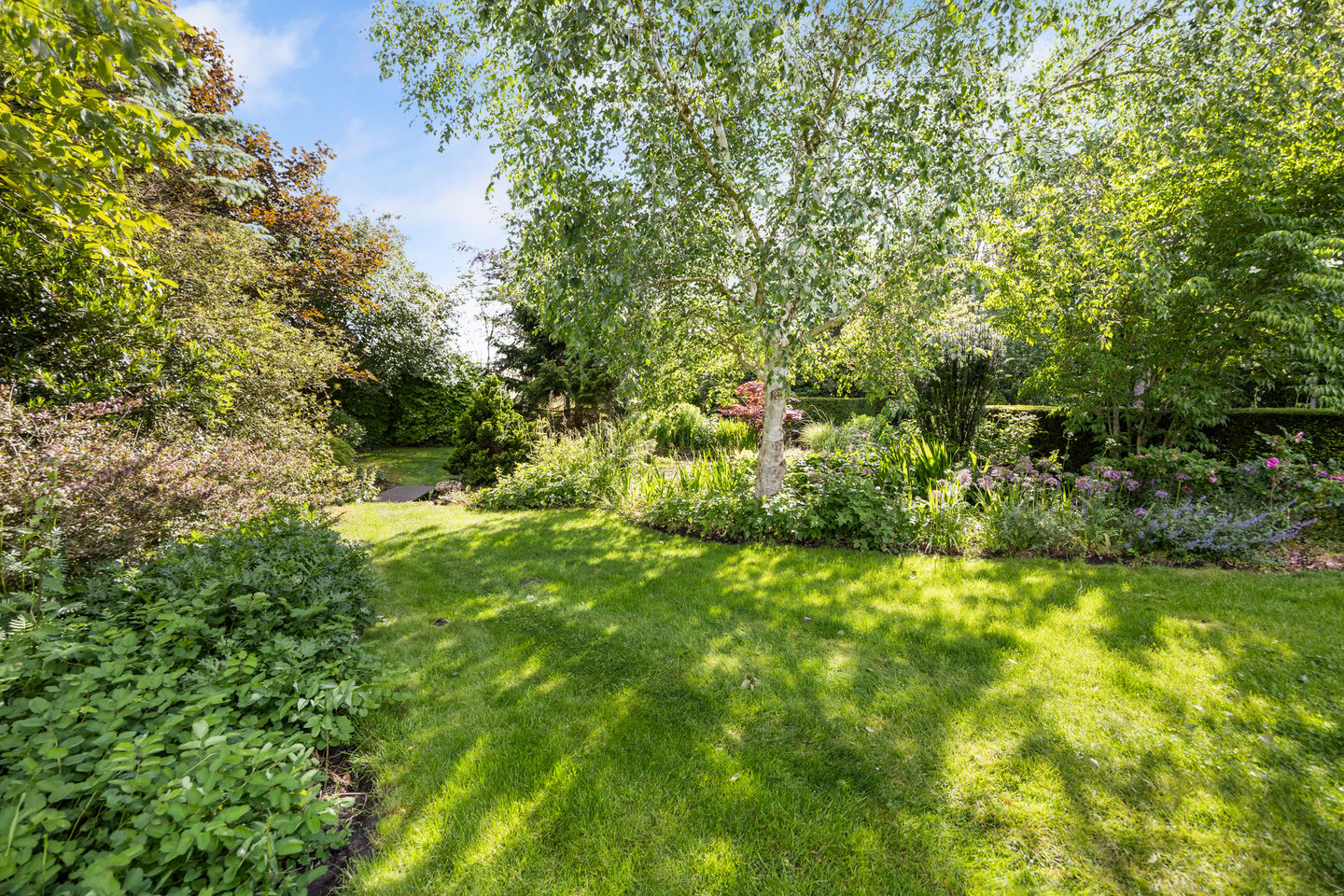 Photo 44 of Ludenbos 30