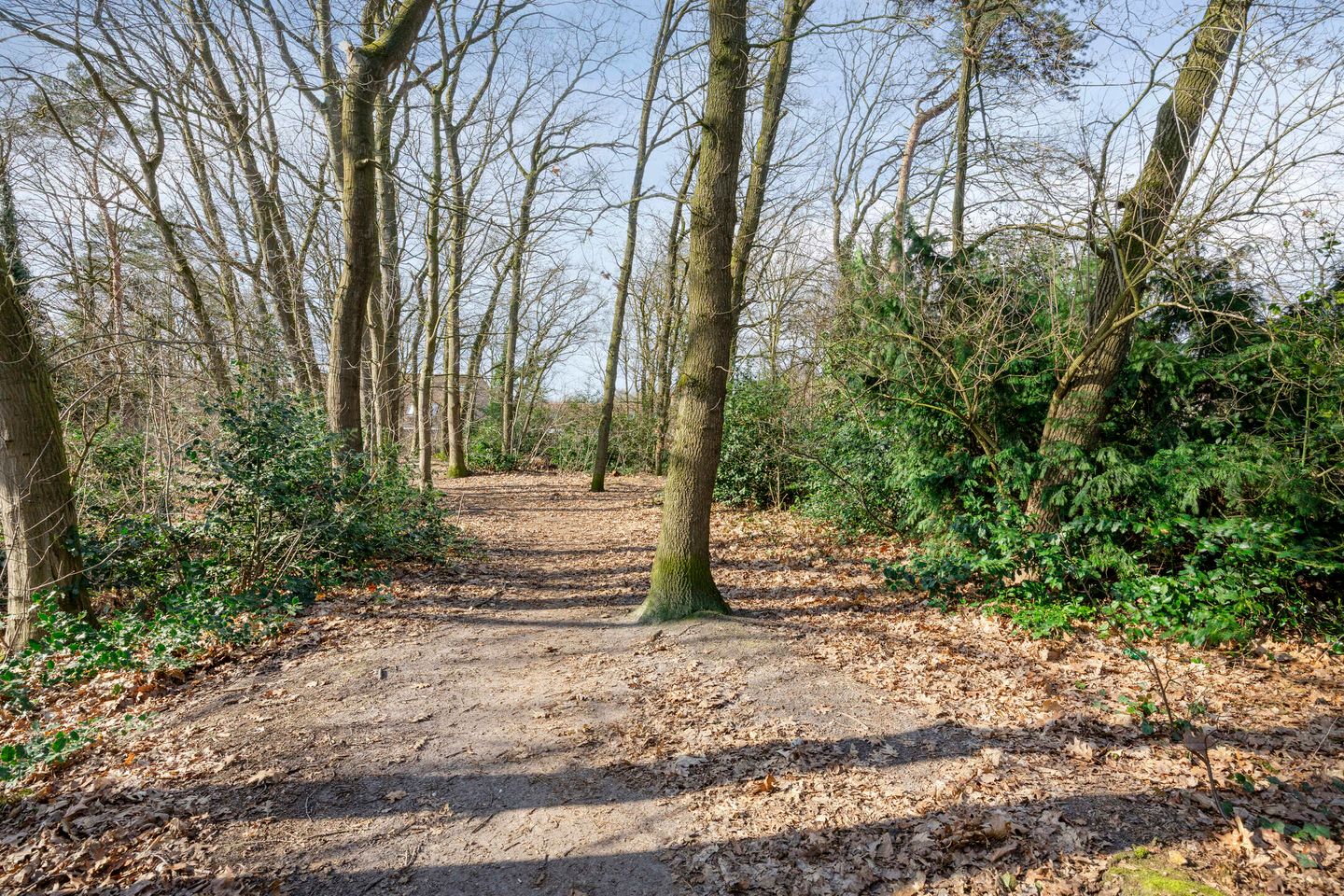 Foto 34 van Volderhof 102