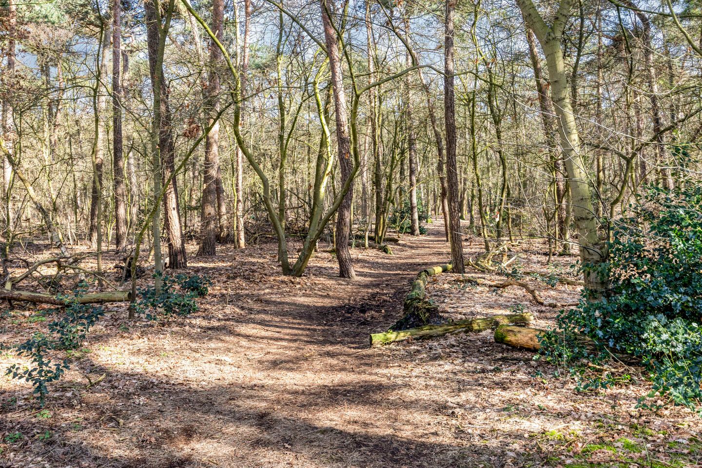 Foto 35 van Volderhof 102