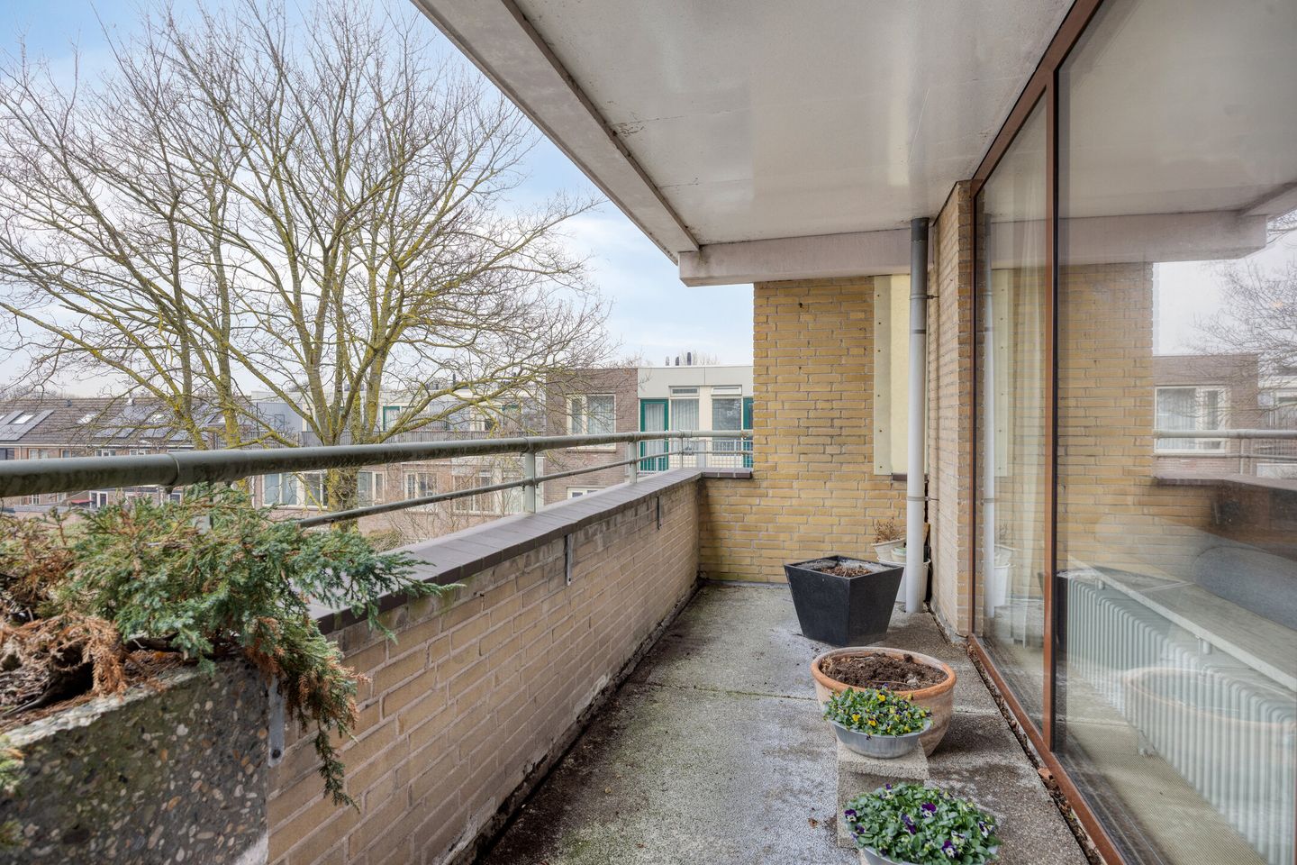 Foto 14 van Bellinistraat 55