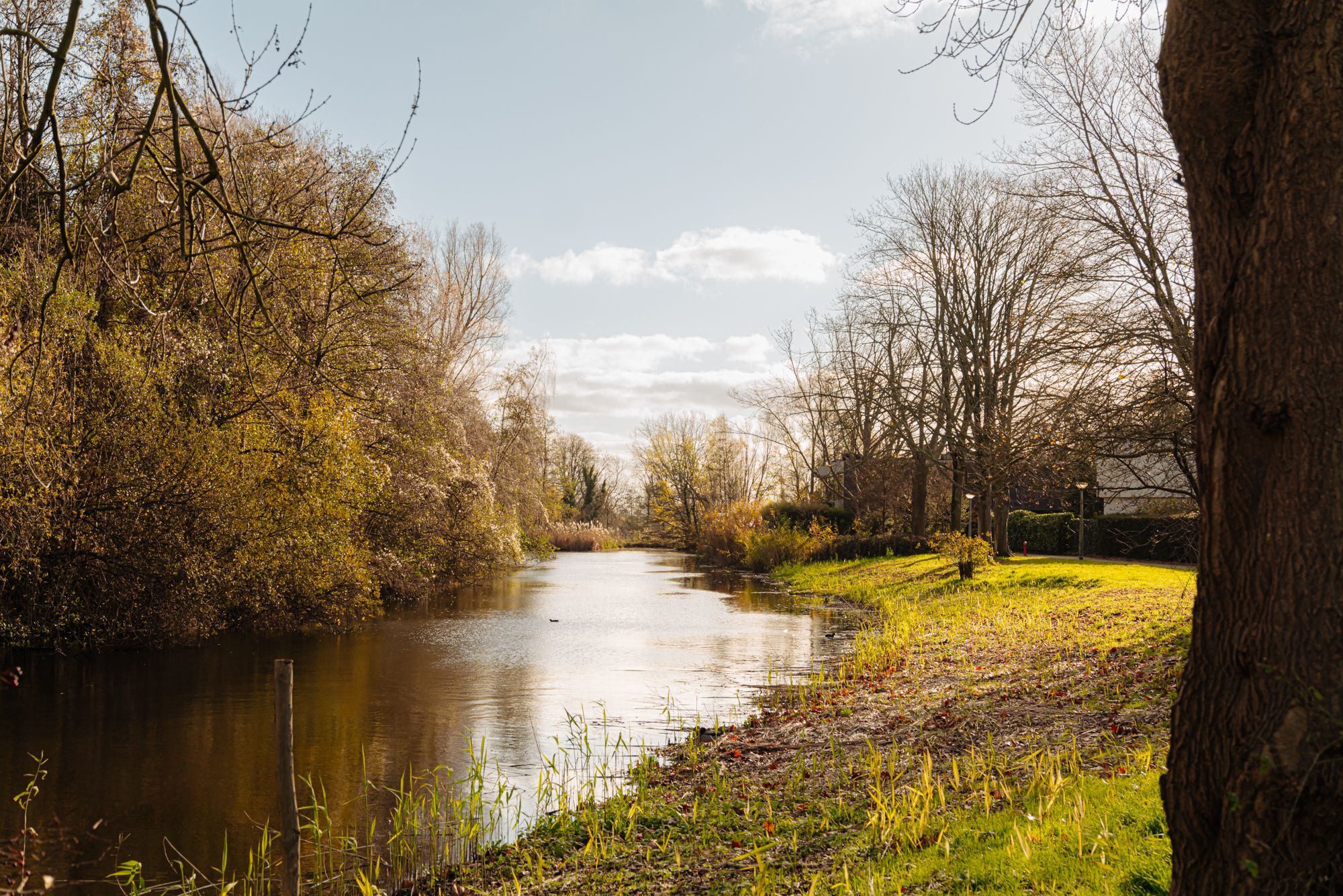 Foto 36 van Aldengoor 8