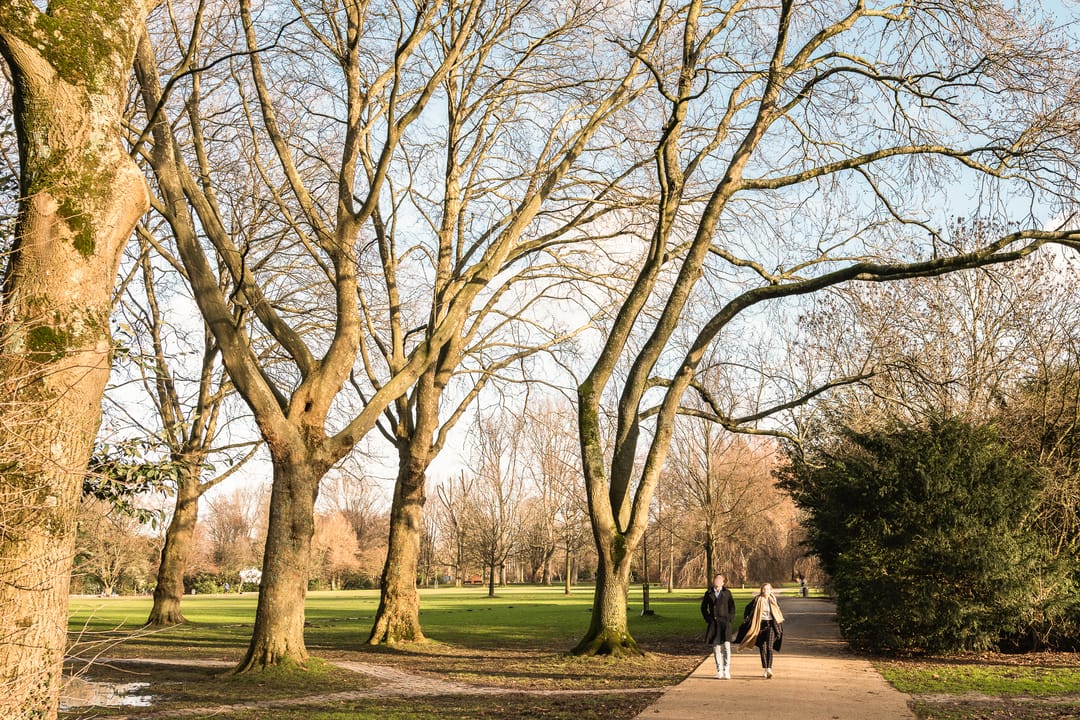 Foto 38 van Aldengoor 8