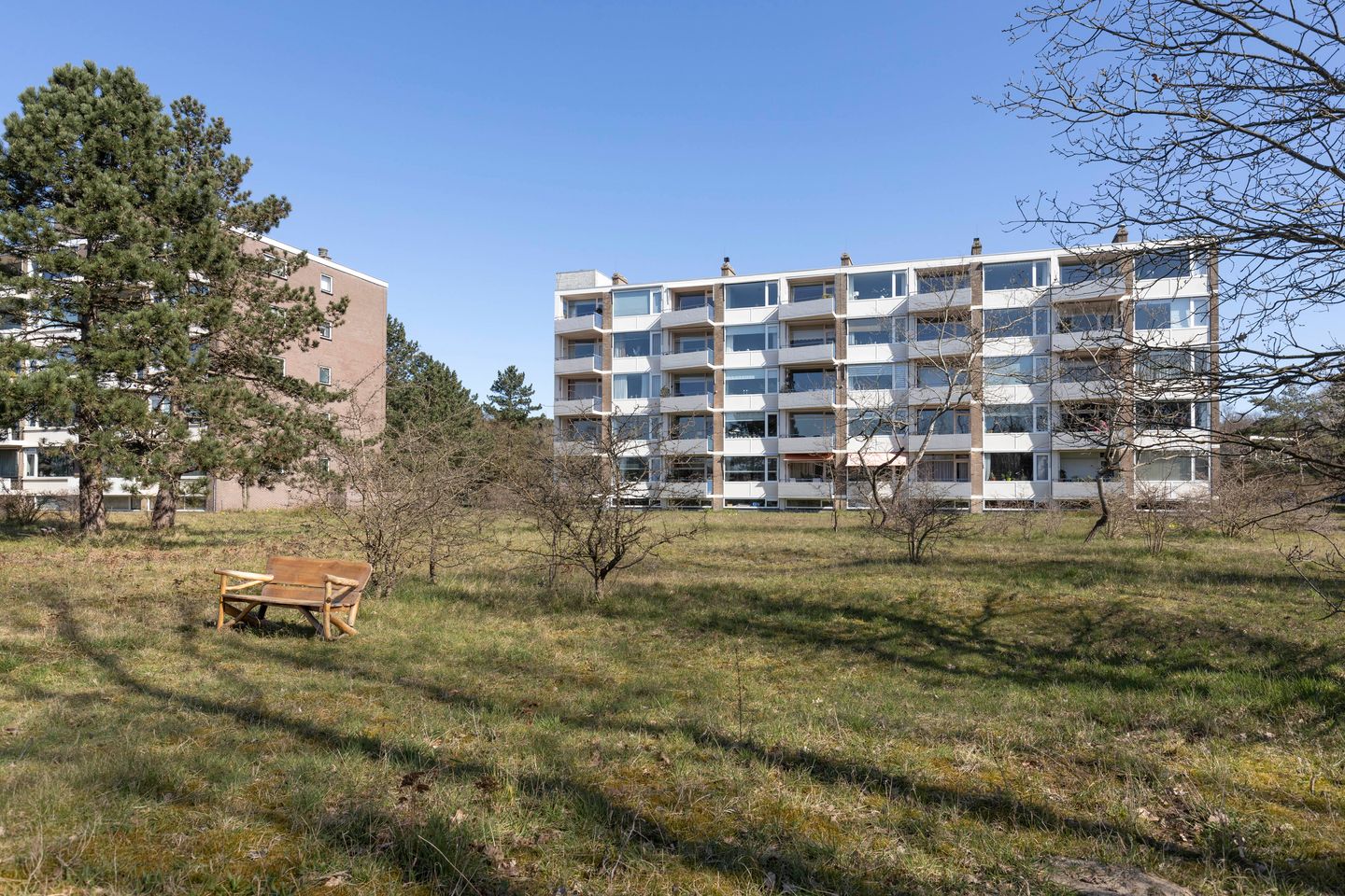 Foto 19 van Saxenrodeweg 62