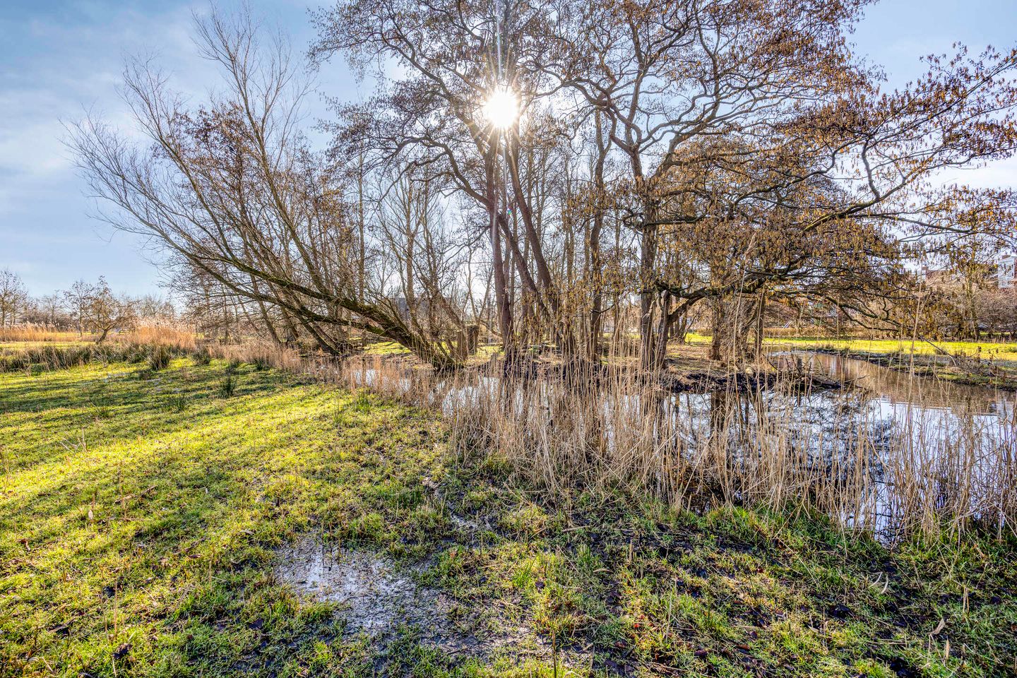 Photo 49 of Meersingel 53