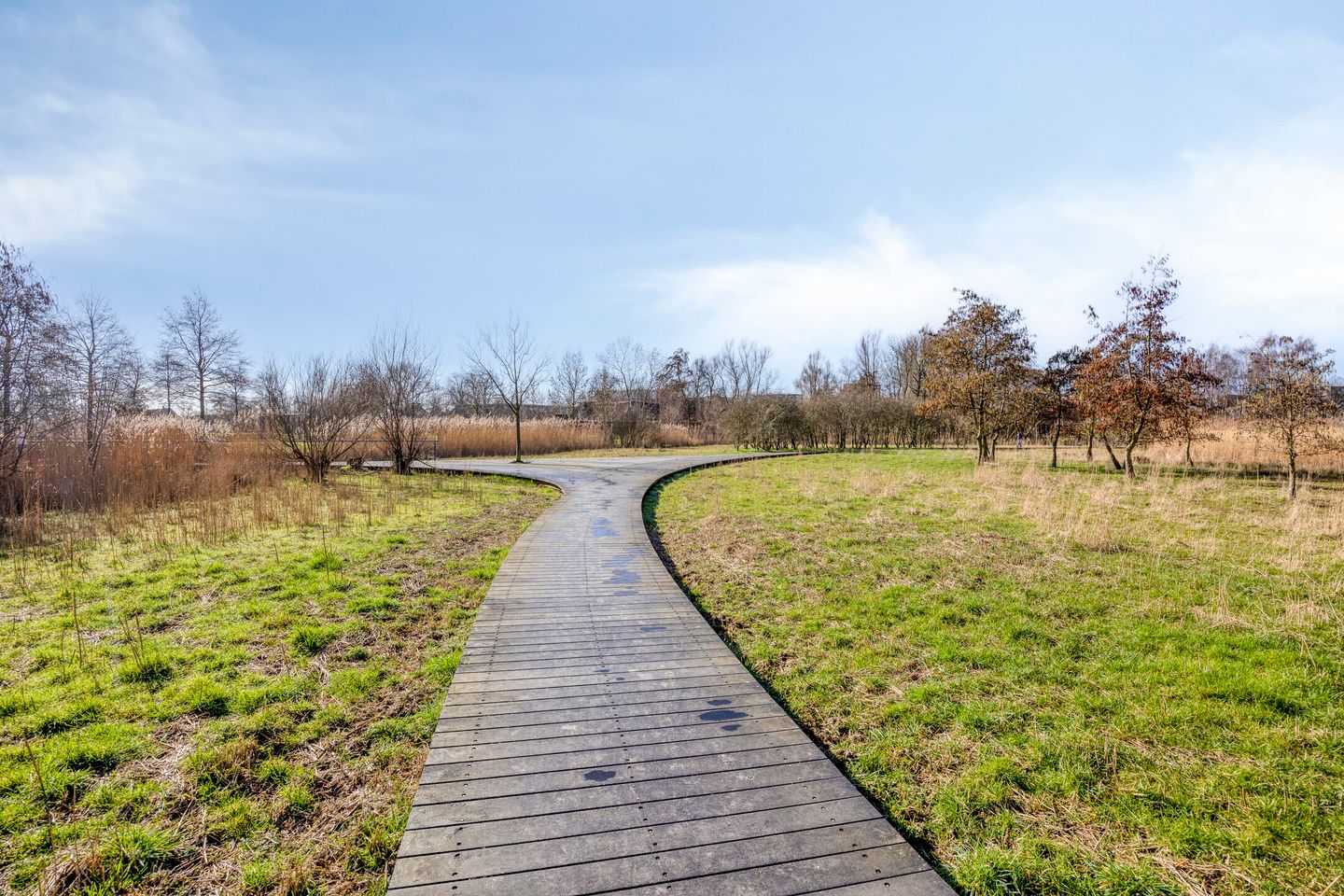 Photo 50 of Meersingel 53