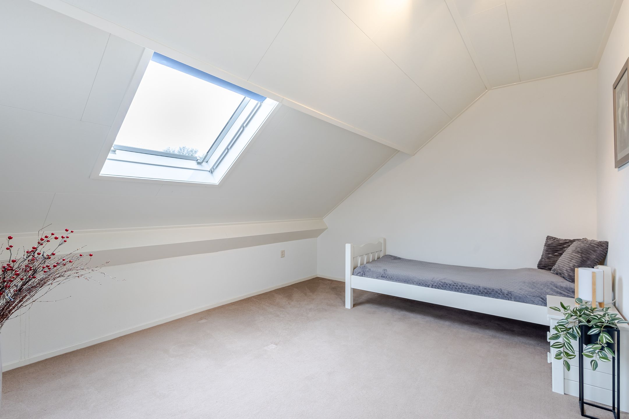 Foto 36 van 't Eiland 4