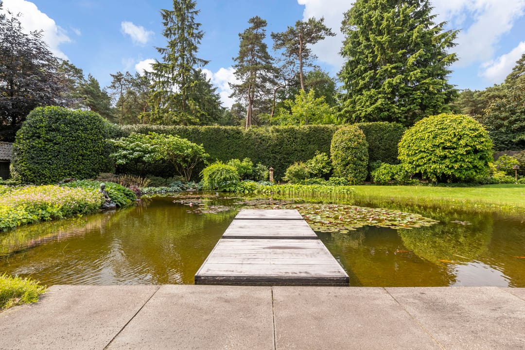 Foto 46 van Moftbos 4