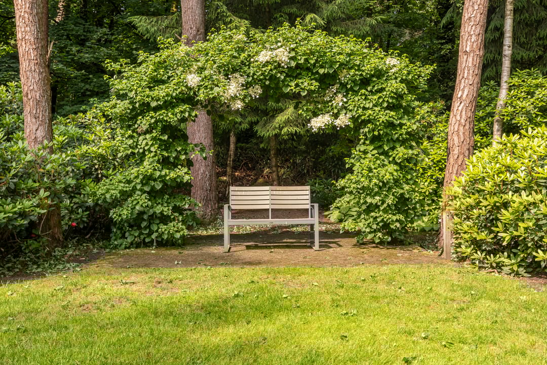 Foto 52 van Moftbos 4