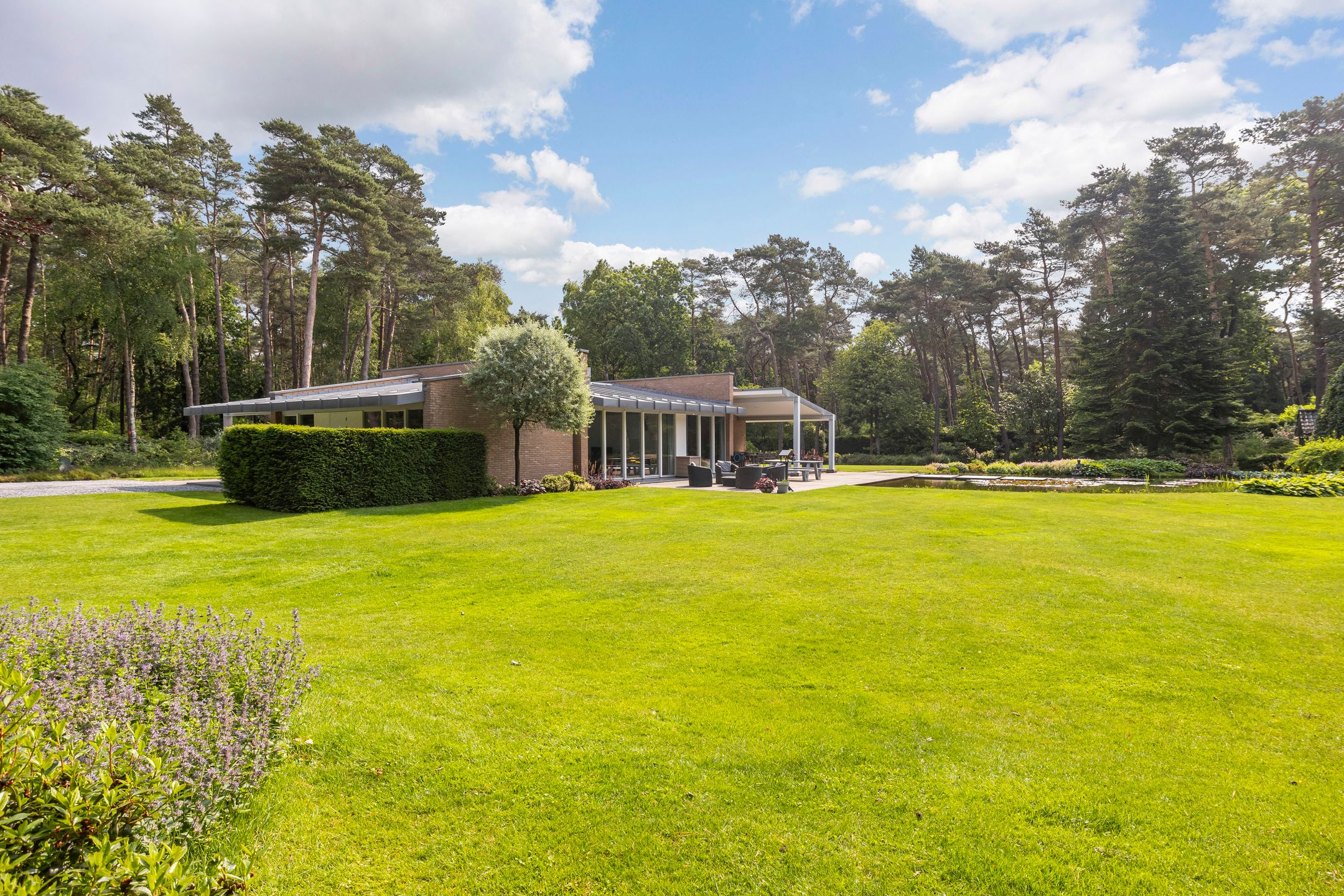 Foto 54 van Moftbos 4