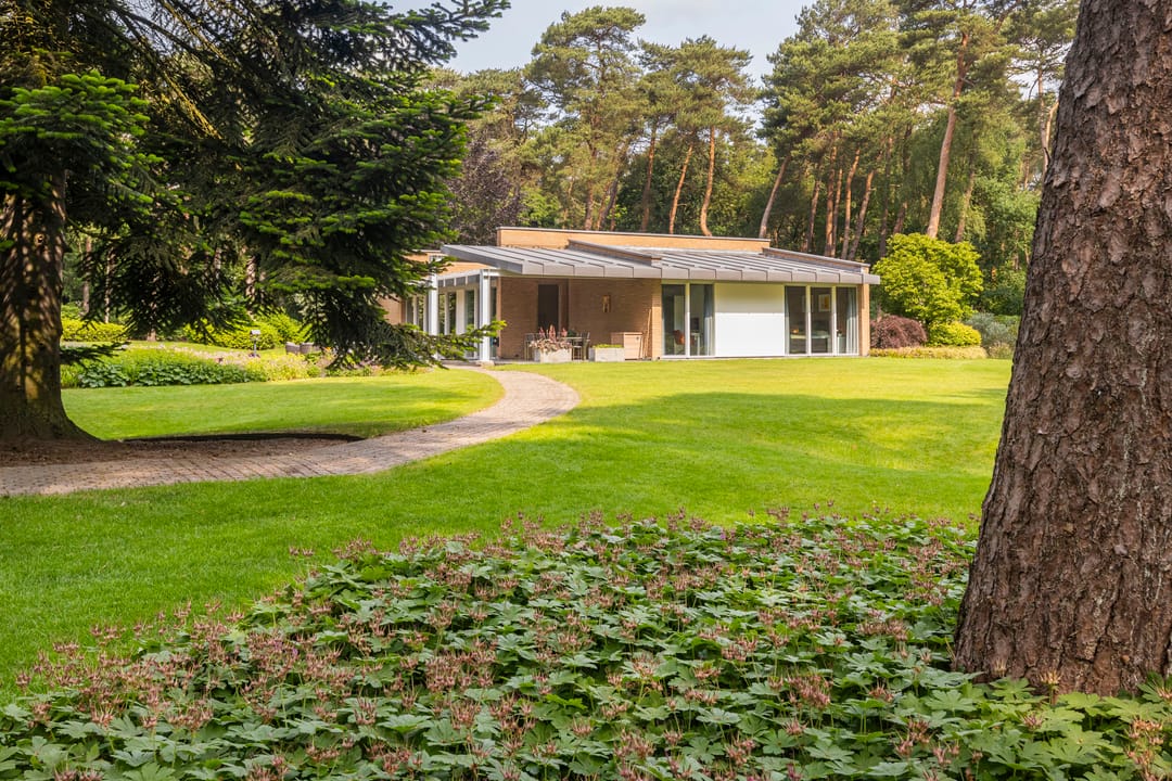 Foto 56 van Moftbos 4