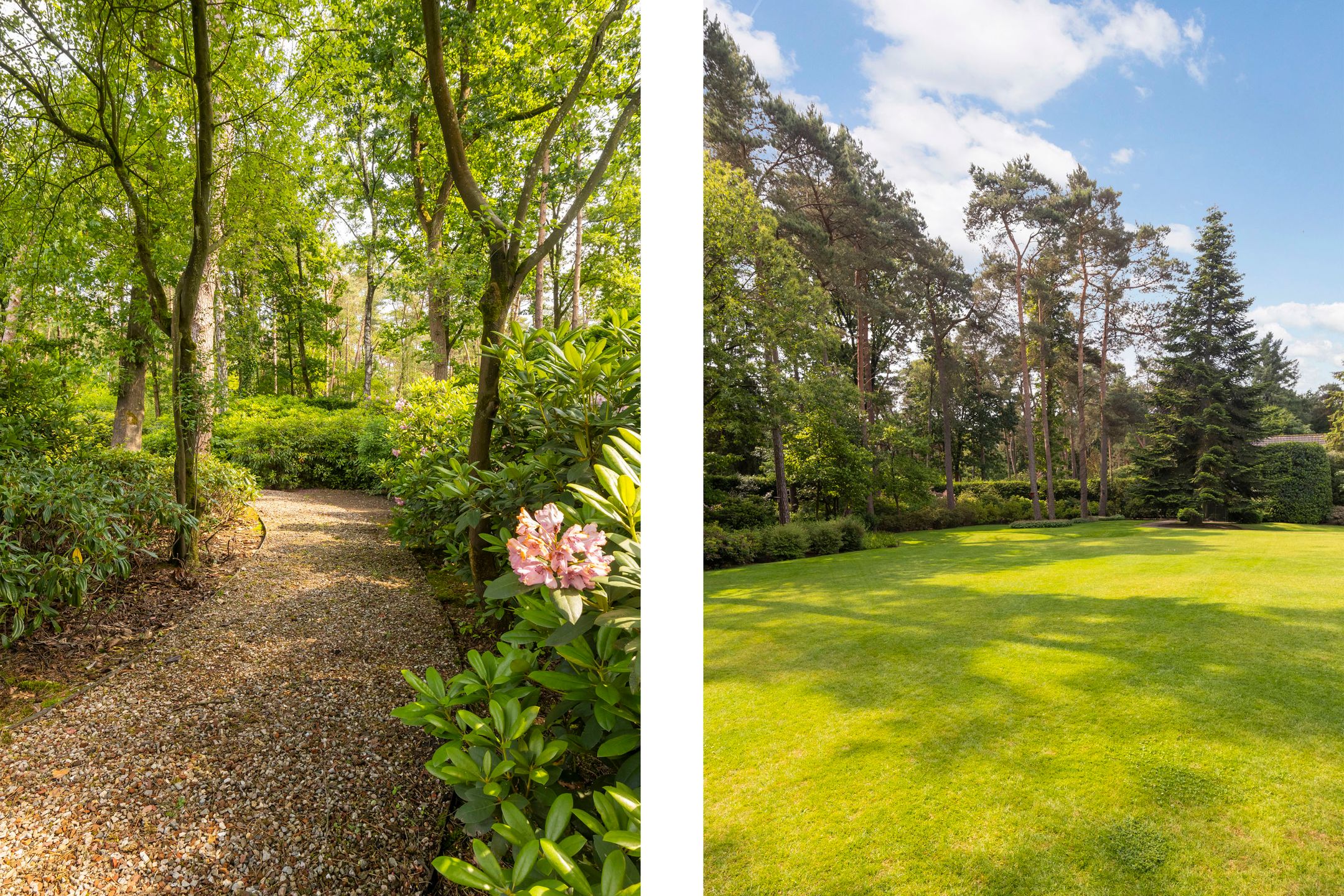 Foto 57 van Moftbos 4