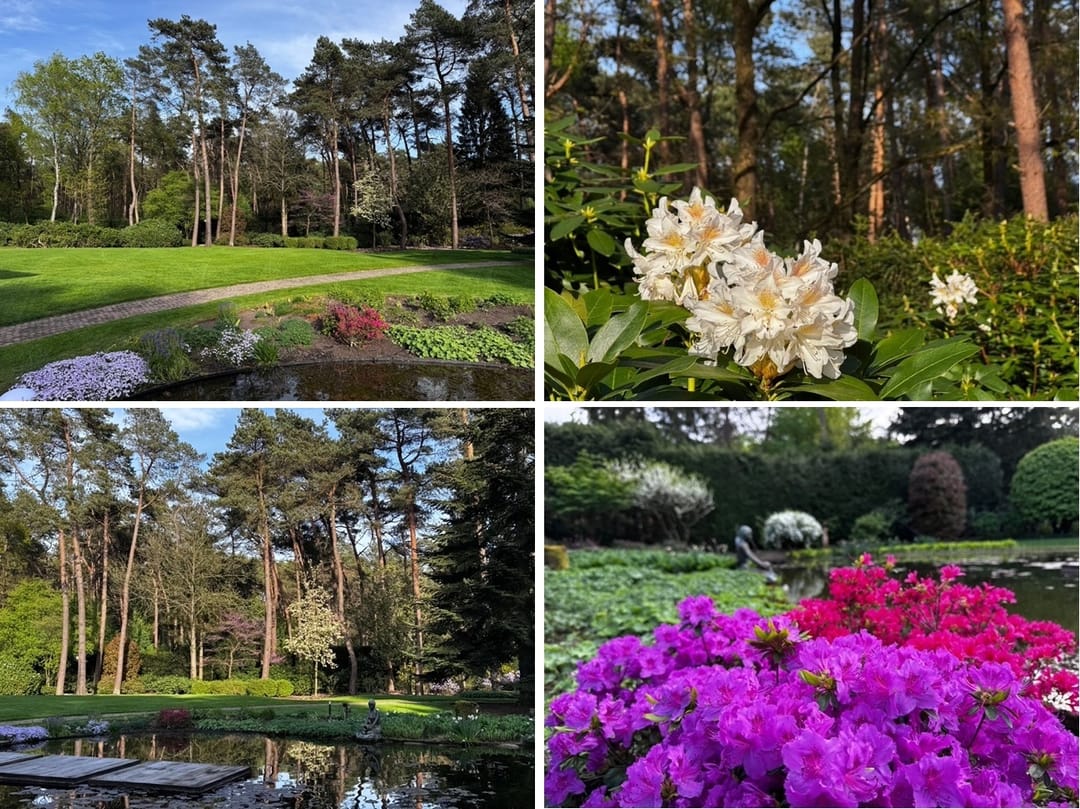 Foto 58 van Moftbos 4