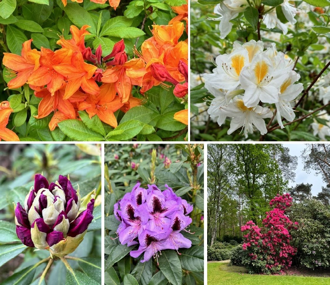 Foto 59 van Moftbos 4