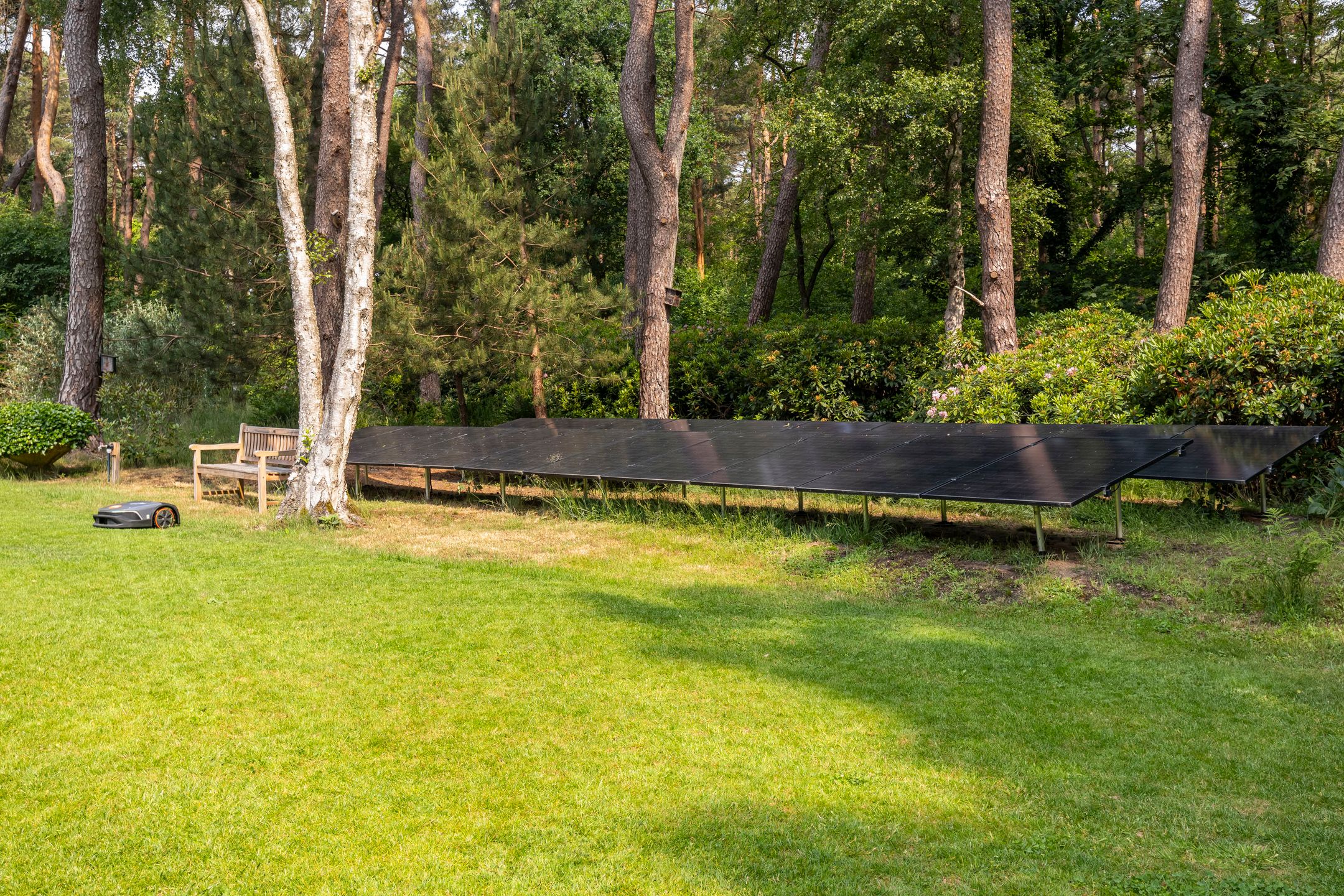 Foto 60 van Moftbos 4