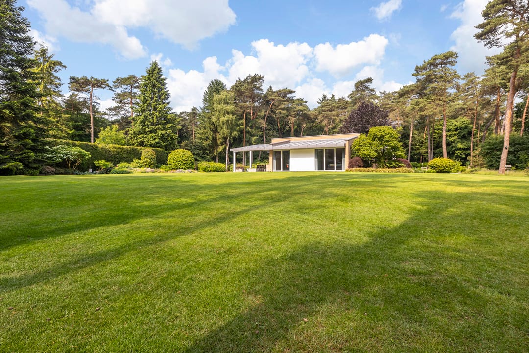 Foto 61 van Moftbos 4