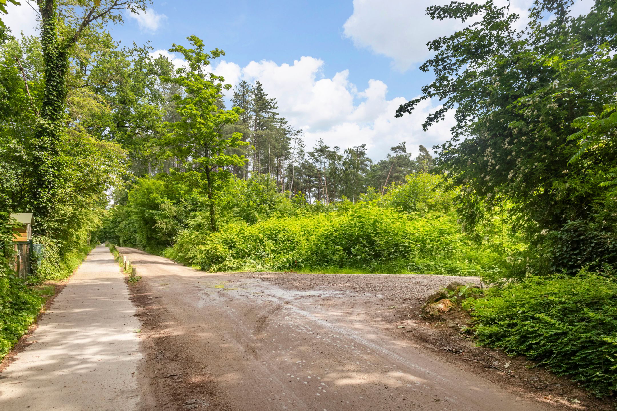 Foto 75 van Moftbos 4