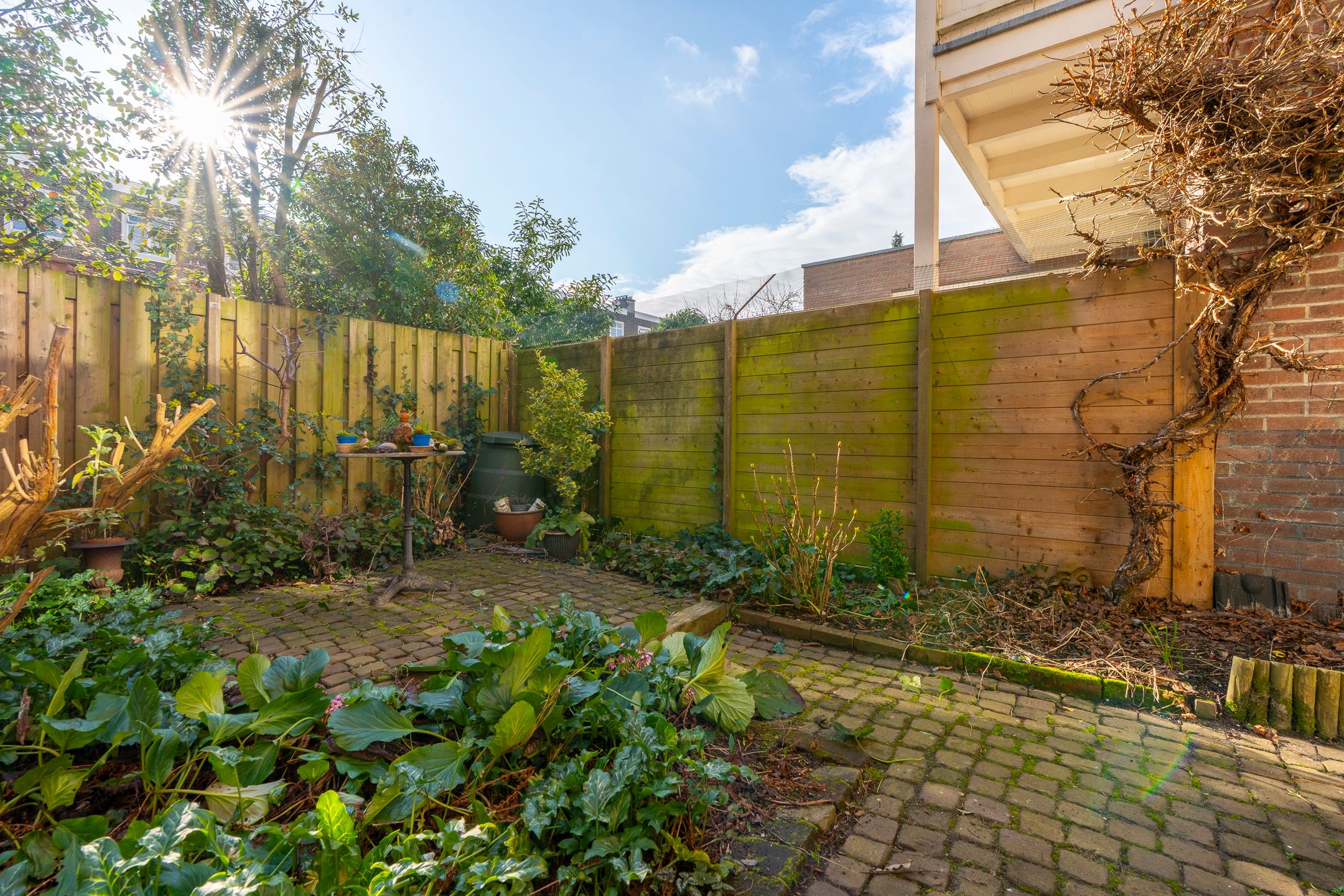 Foto 6 van Albert Neuhuysstraat 2-A