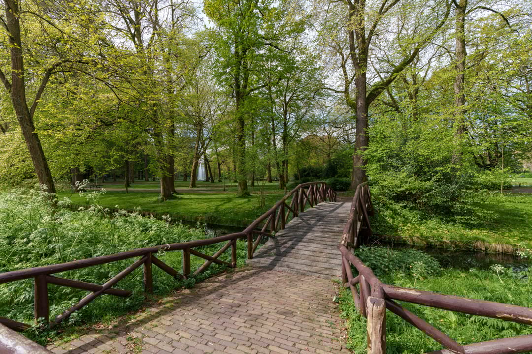 Foto 38 van Albert Neuhuysstraat 2-A