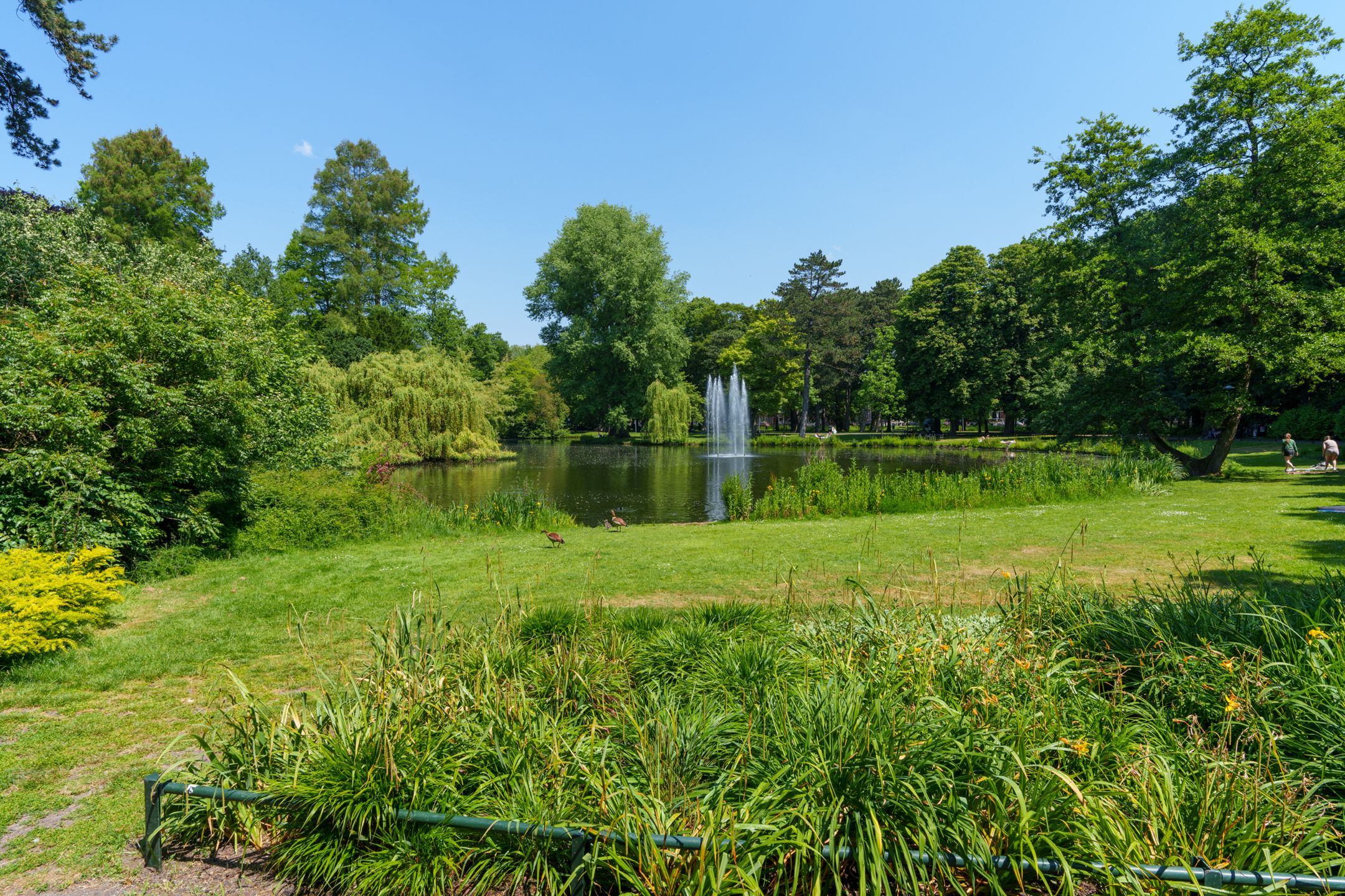 Foto 39 van Albert Neuhuysstraat 2-A