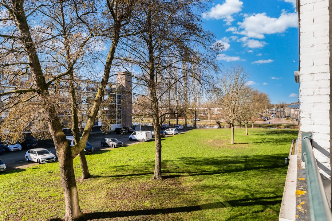 Foto 28 van Staringlaan 226