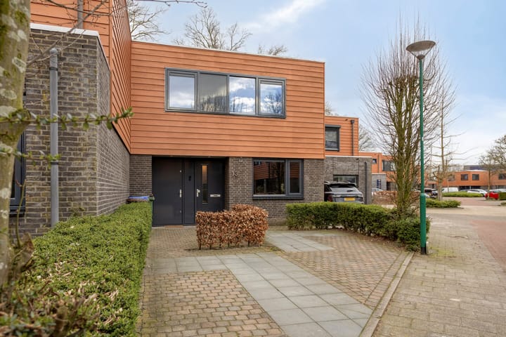 Foto 2 van Satijnzwam 13