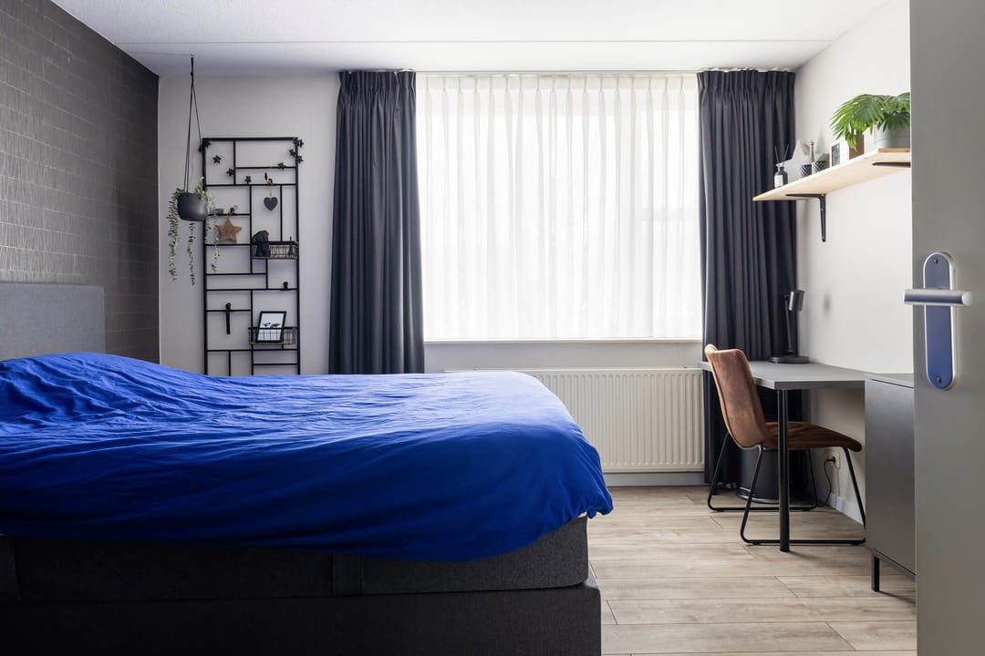 Foto 22 van Voorstag 12