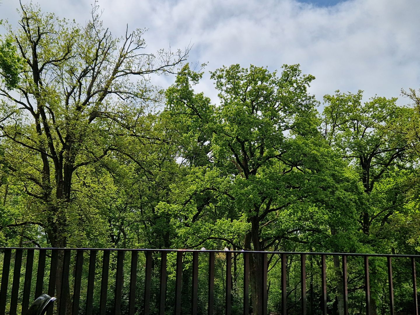 Foto 20 van Reutseplein 38