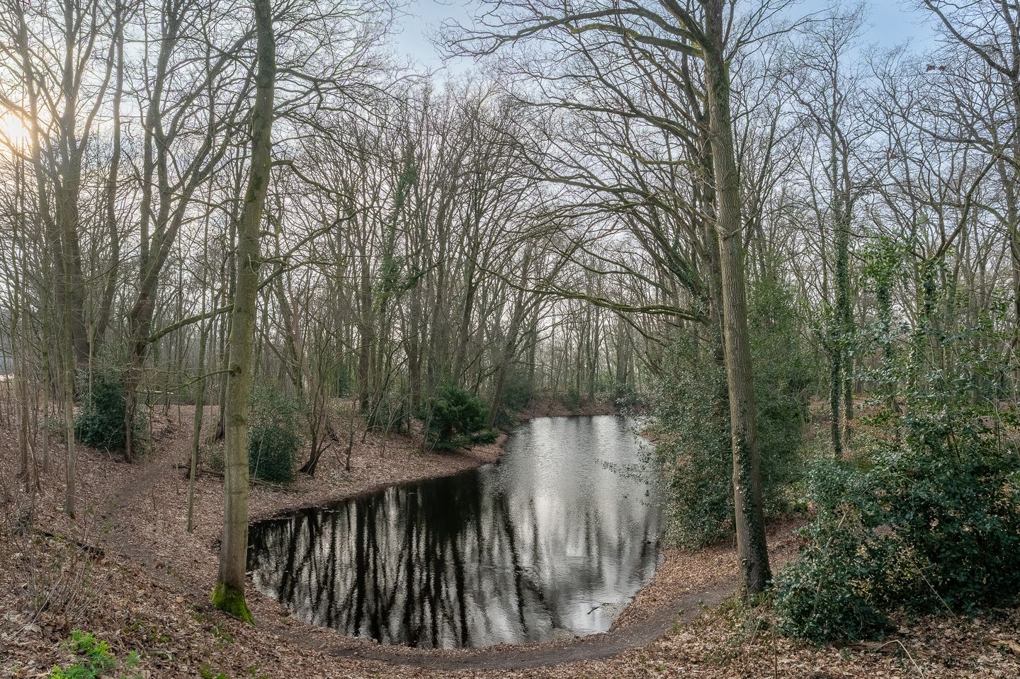 Foto 50 van Reutseplein 38