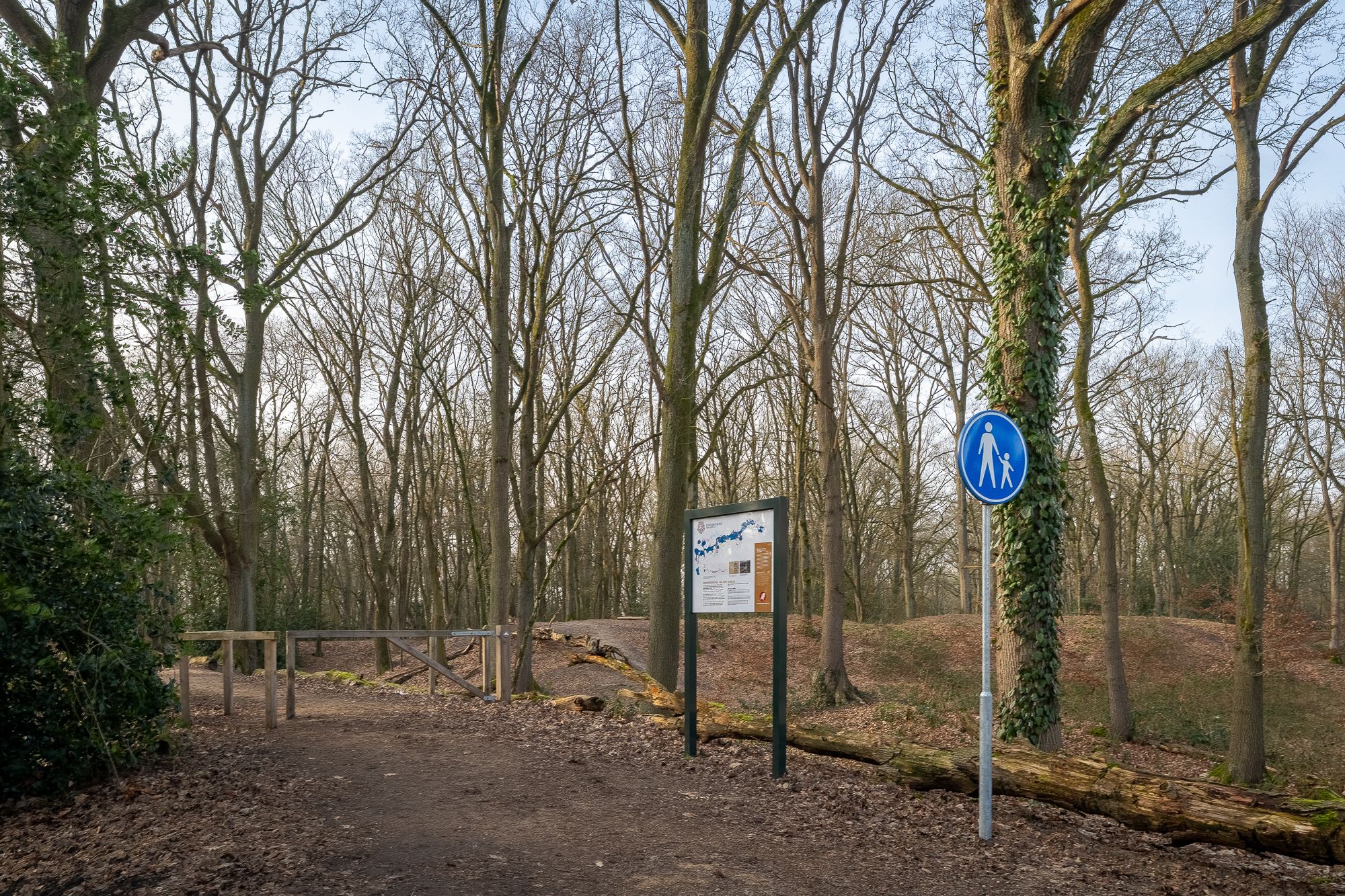 Foto 51 van Reutseplein 38