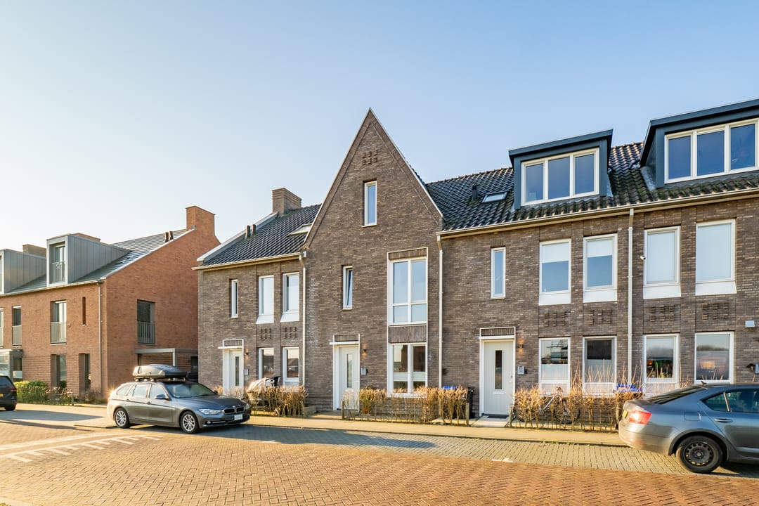 Foto 1 van Wilde rucolavliet 105