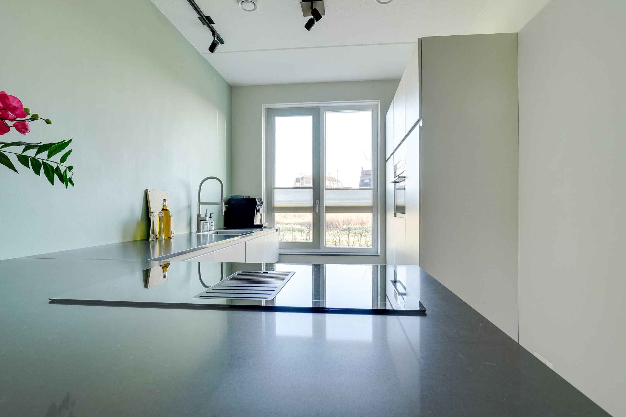 Foto 12 van Wilde rucolavliet 105