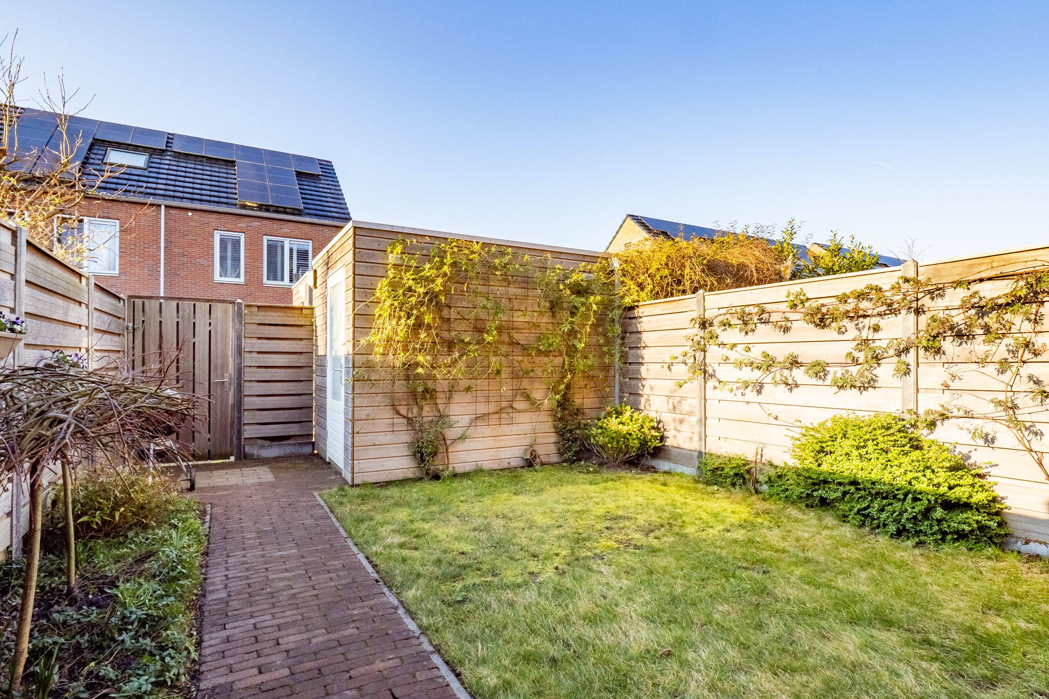 Foto 18 van Wilde rucolavliet 105