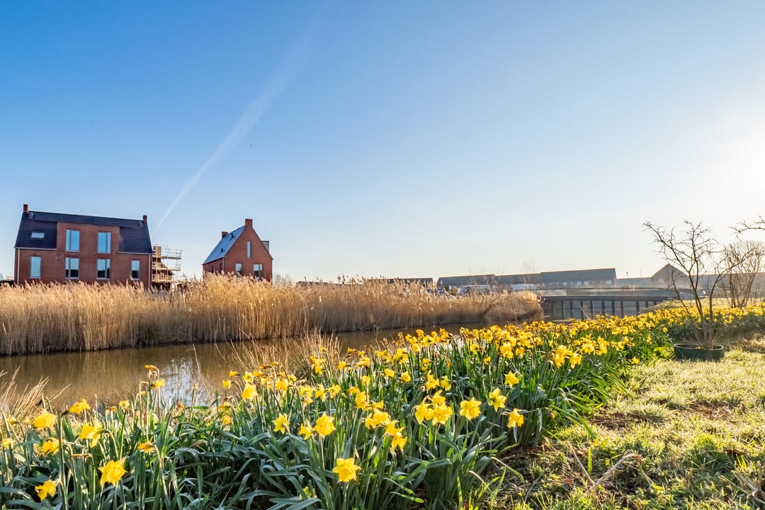 Foto 47 van Wilde rucolavliet 105