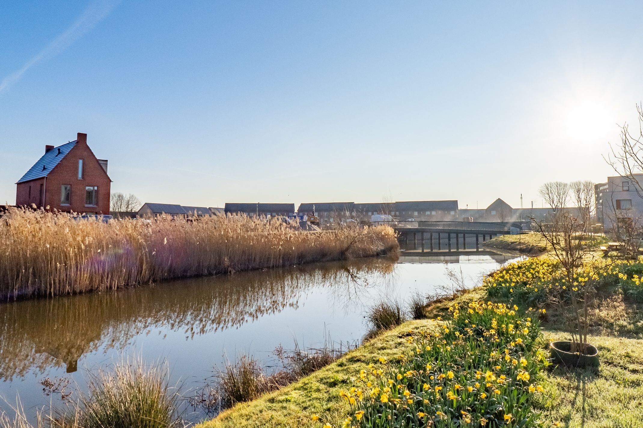 Foto 48 van Wilde rucolavliet 105