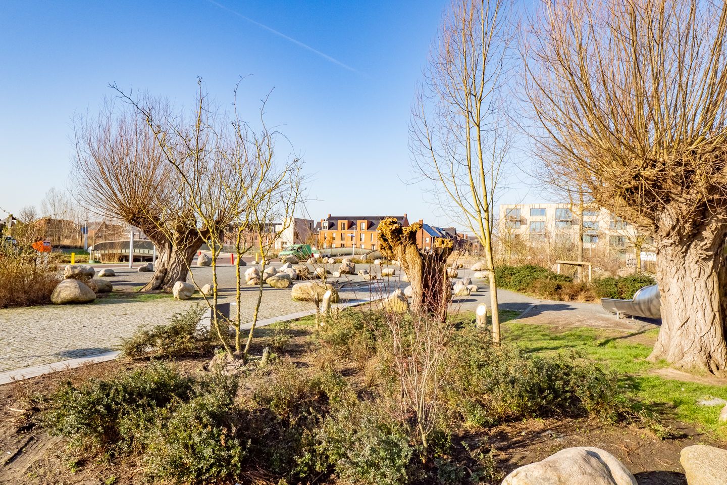 Foto 50 van Wilde rucolavliet 105