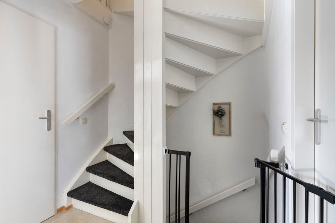 Photo 22 of In de Pas 47