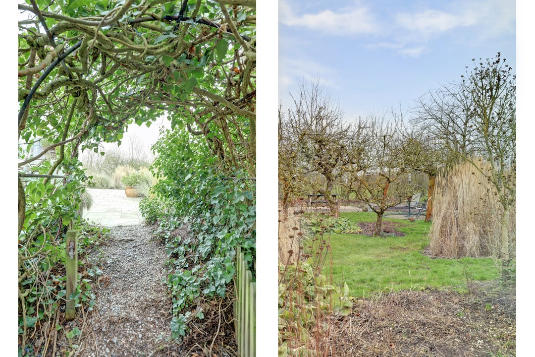 Foto 38 van Schelpweg 21