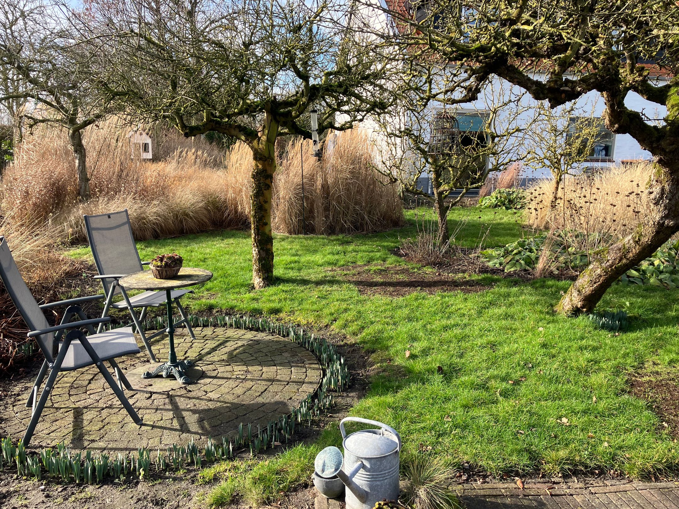 Foto 39 van Schelpweg 21