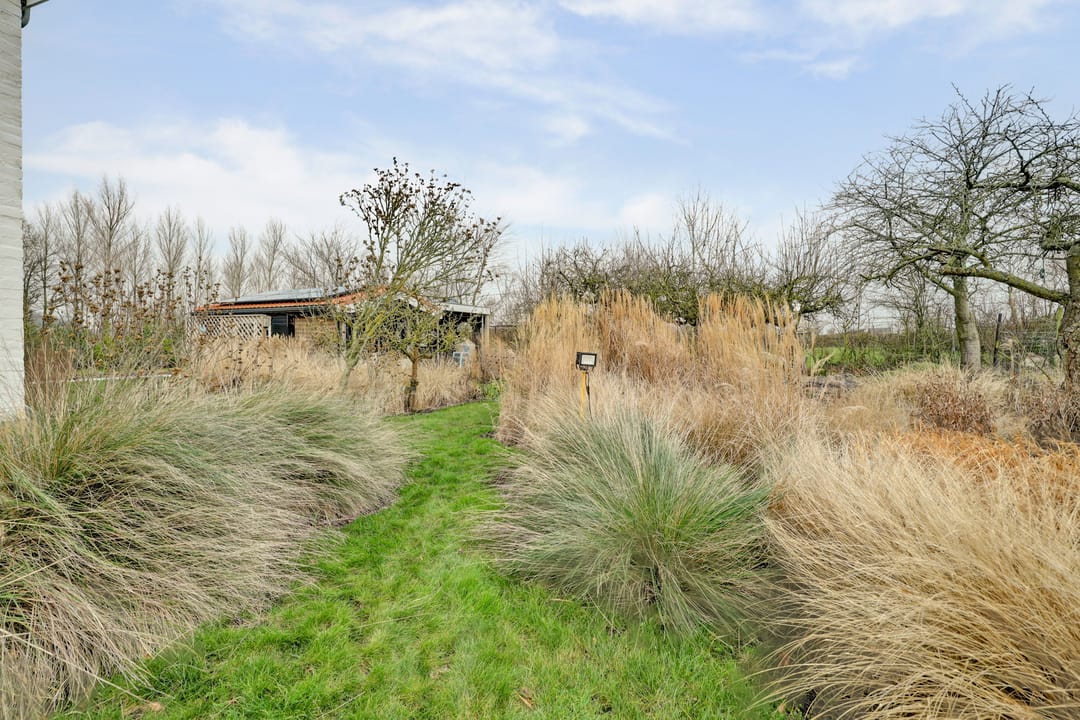 Foto 46 van Schelpweg 21