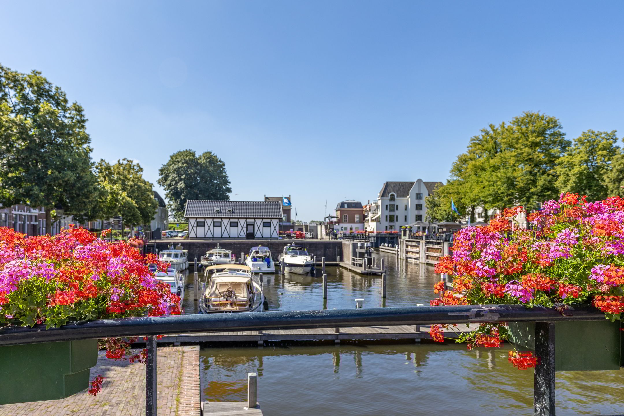 Photo 18 of Blauwe Haansteeg 1