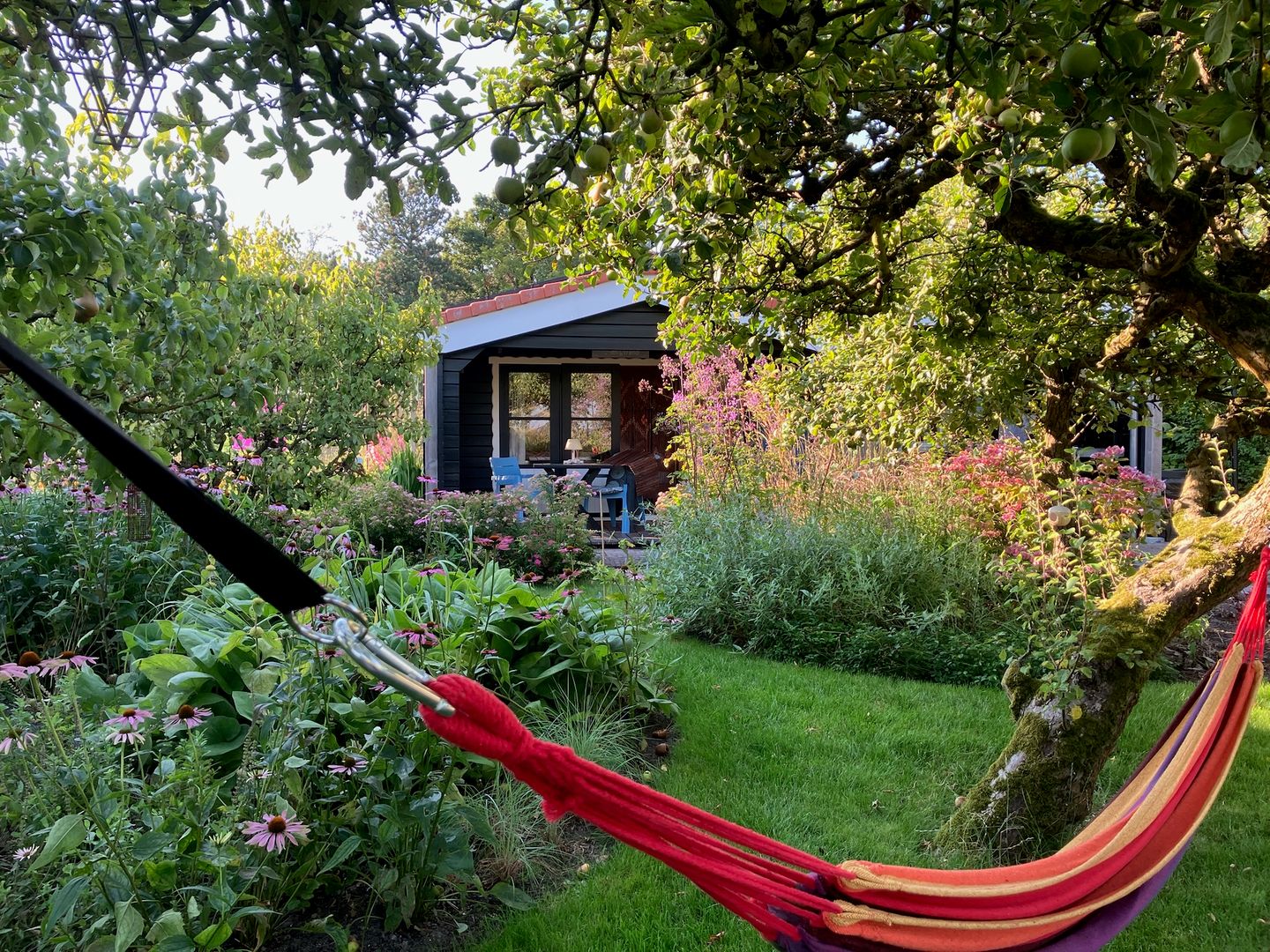 Foto 40 van Schelpweg 21