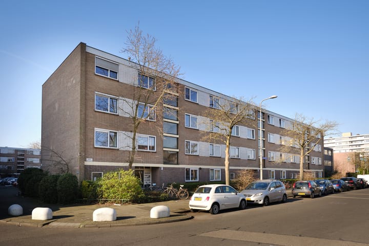 Arnodreef 21 main image