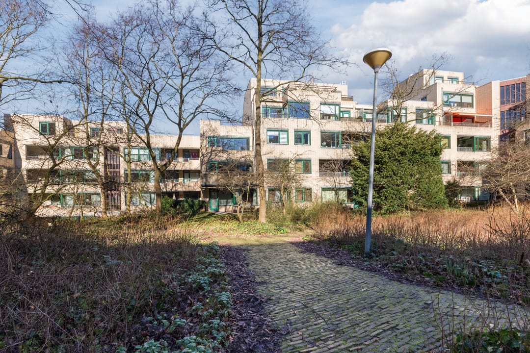 Photo 26 of Burgemeester Patijnlaan 802