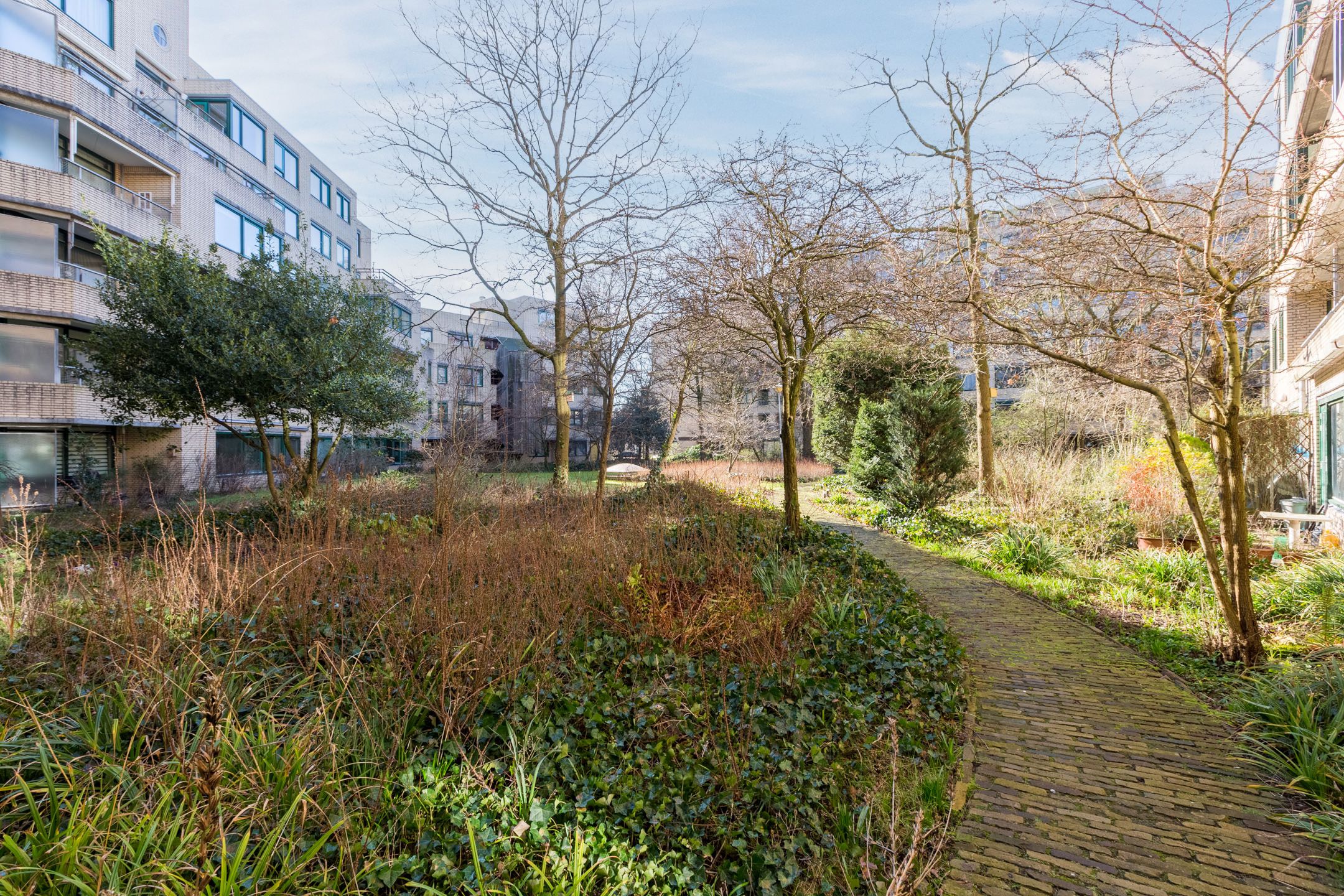 Burgemeester Patijnlaan 802 