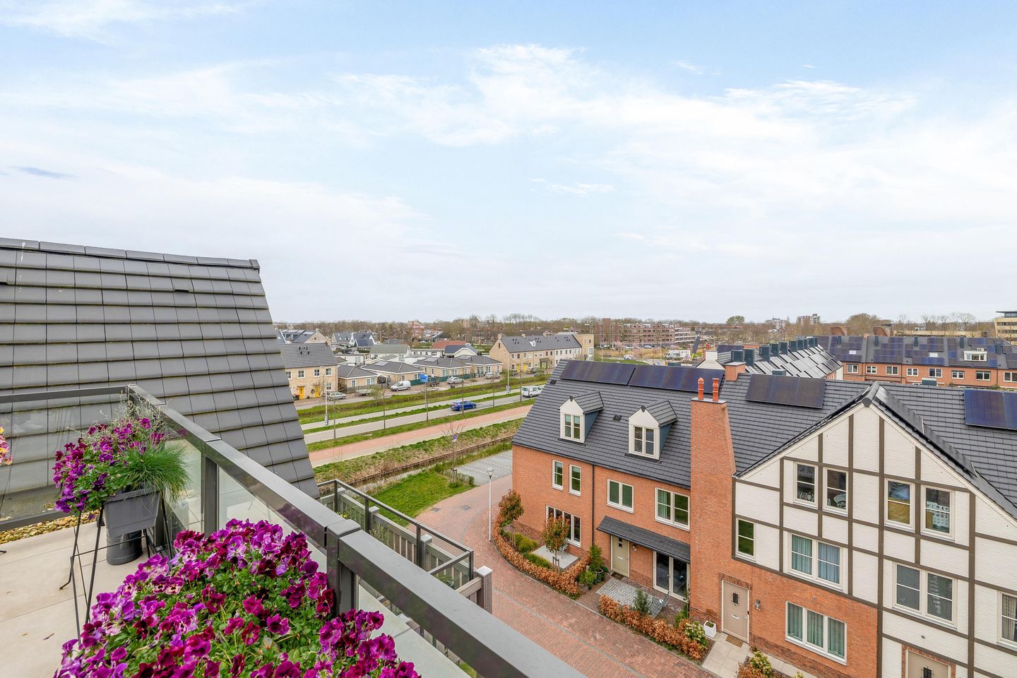 Foto 14 van Rozet 45