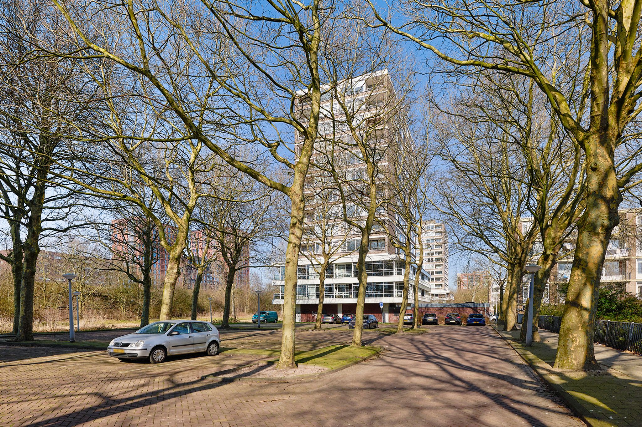 Photo 21 of Maassluisstraat 206
